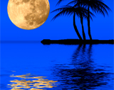 caribbean catamaran charters during full moon